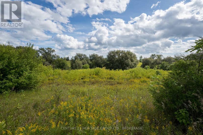 Part Of Part Lot 21 Concession 1 Adolphustown — photo 4 of 6