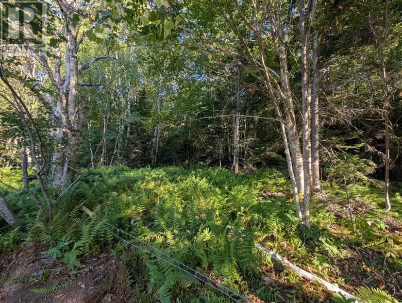 Glen Albert Drive — photo 20 of 22