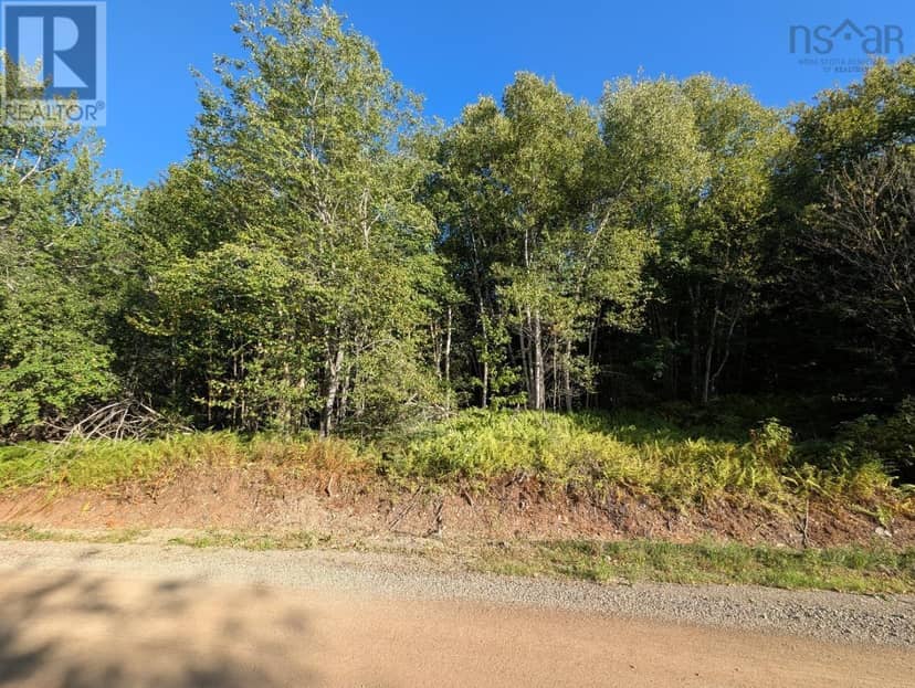 Glen Albert Drive — photo 15 of 22