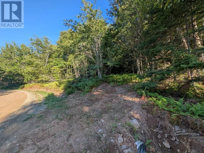 Glen Albert Drive — photo 18 of 22