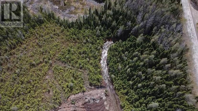 0 Sandy Point Road, Norris Arm, photo 3