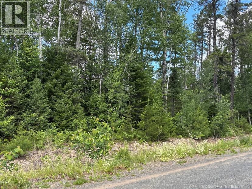 47.15 acres Chemin Liboire Basque — photo 11 of 15