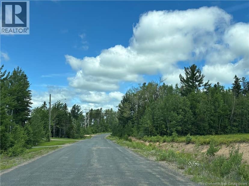47.15 acres Chemin Liboire Basque — photo 9 of 15