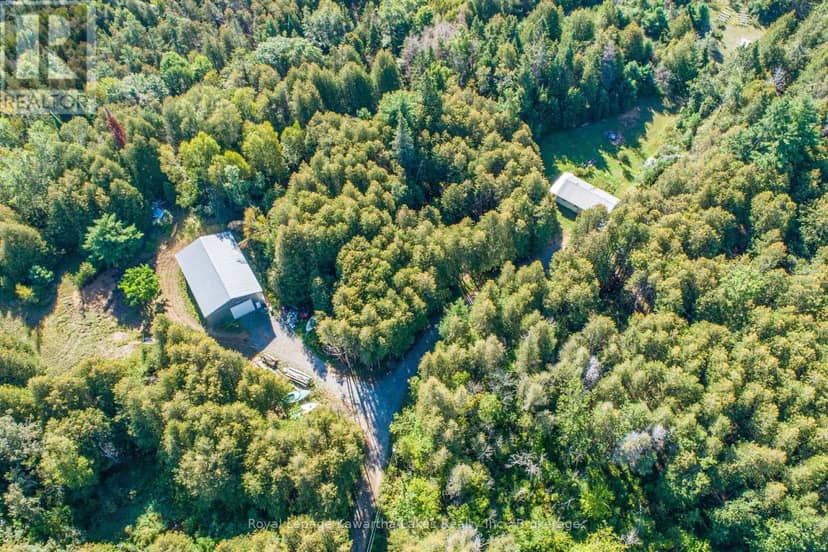 244 Dutch Line Road W, Trent Lakes