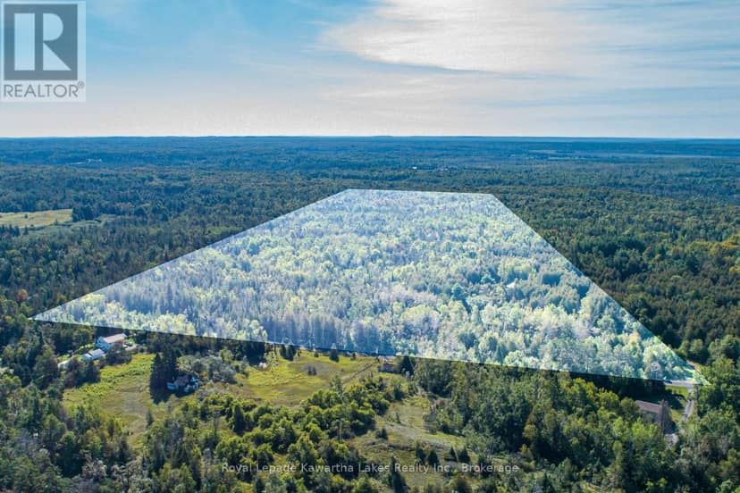 244 Dutch Line Road W, Trent Lakes, photo 2
