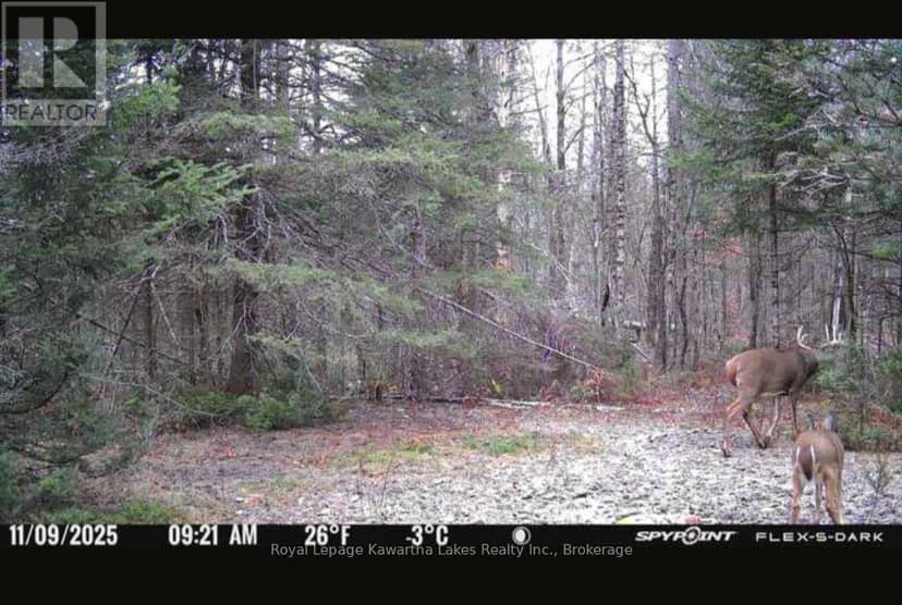 244 Dutch Line Road W — photo 20 of 20