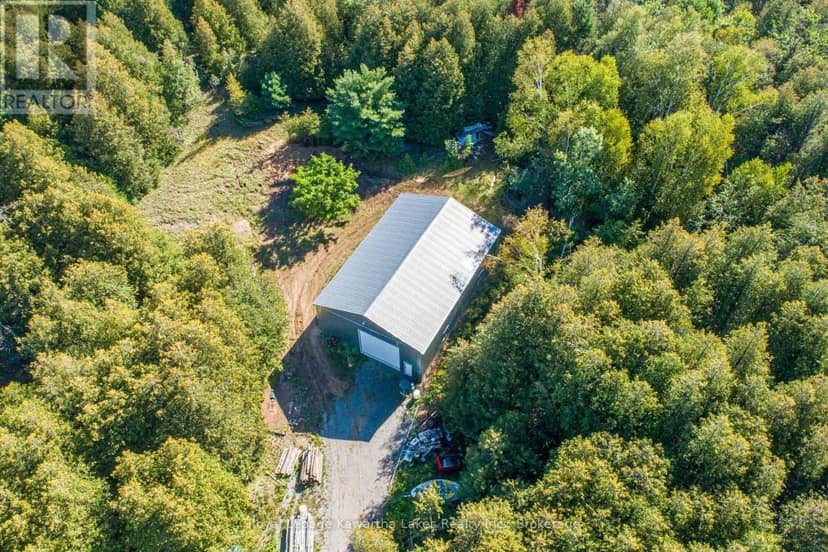 244 Dutch Line Road W, Trent Lakes, photo 3