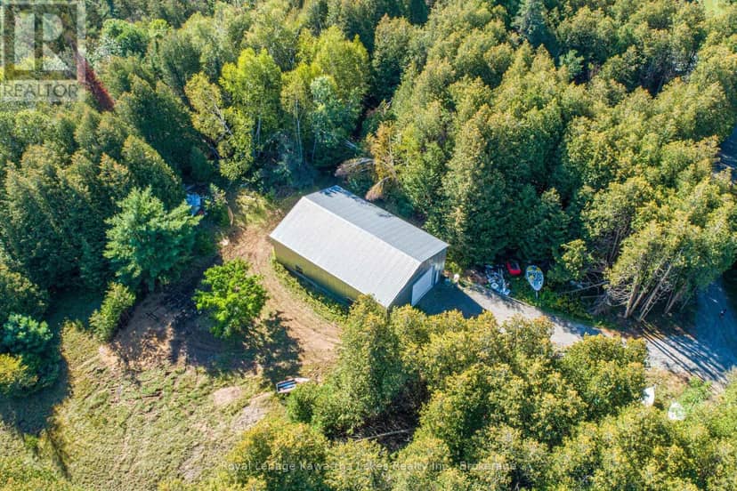 244 Dutch Line Road W, Trent Lakes, photo 5