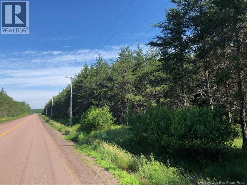 Lot 26-9 Route 495, Saint-Fabien, photo 2