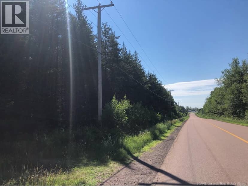 Lot 26-8 Route 495, Saint-Fabien, photo 2