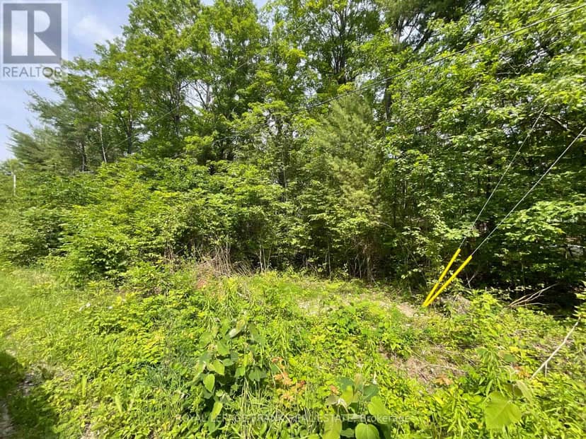 0 Sugarbush Crescent, Trent Lakes, photo 4