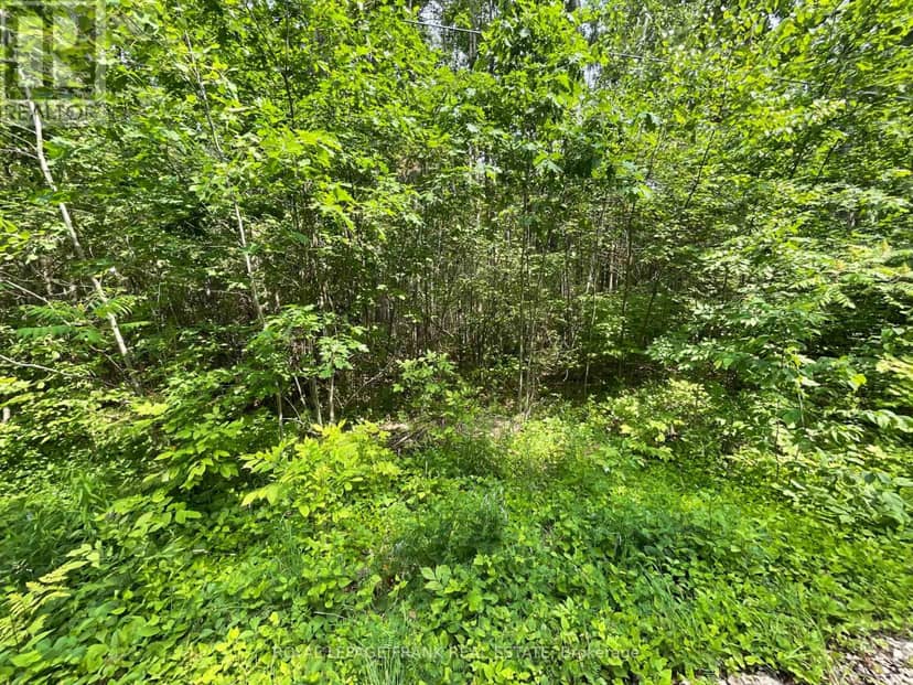 0 Sugarbush Crescent, Trent Lakes, photo 6