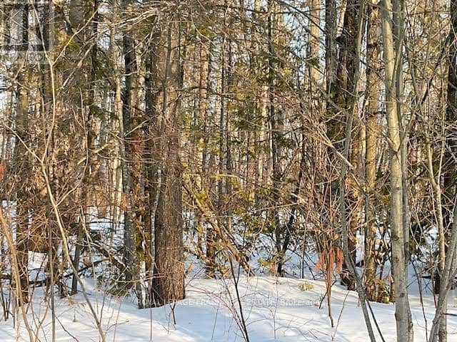 0 Sugarbush Crescent, Trent Lakes, photo 8