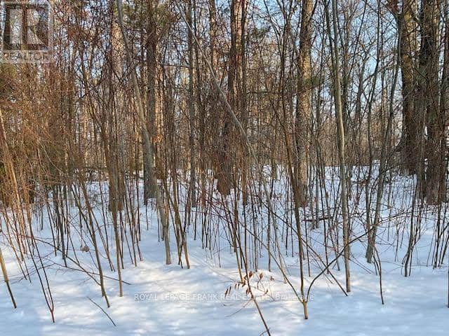 0 Sugarbush Crescent — photo 9 of 11