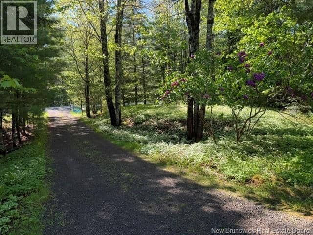 919 Route 905 — photo 12 of 40