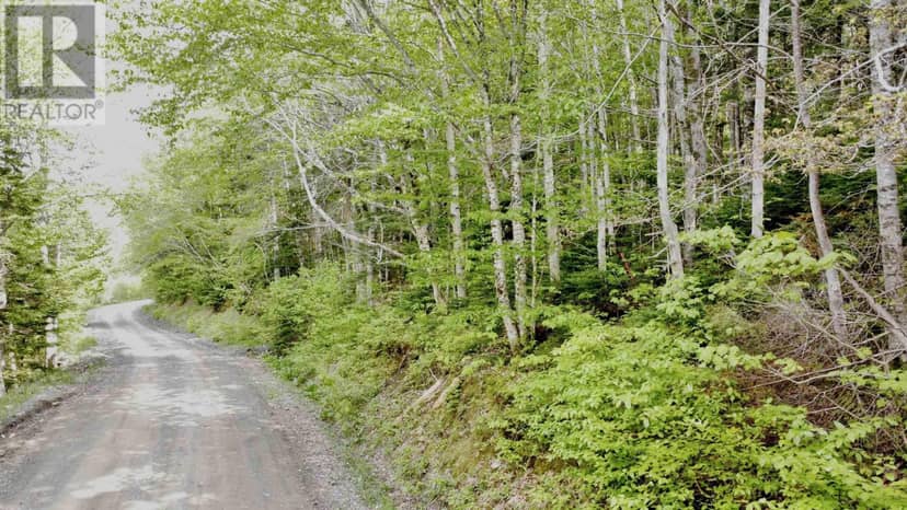 Lot 18-1 Glenora Falls Road — photo 3 of 13