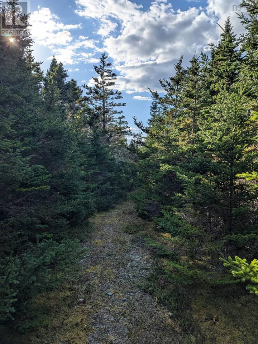 Lot B Sober Island Road — photo 23 of 40
