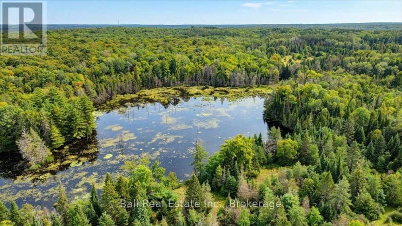 0 Clydesdale Road, North Kawartha, photo 8