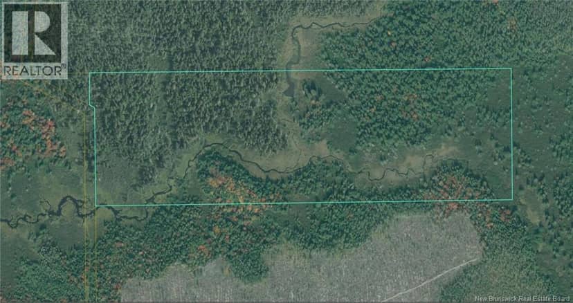 Lot Route 11 — photo 2 of 2