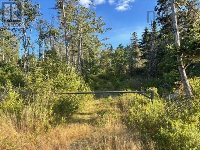 Lot 2 Highway 7 — photo 18 of 29
