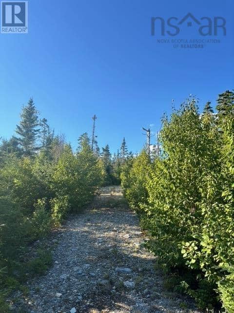 Lot 2 Highway 7, Port Dufferin, photo 5