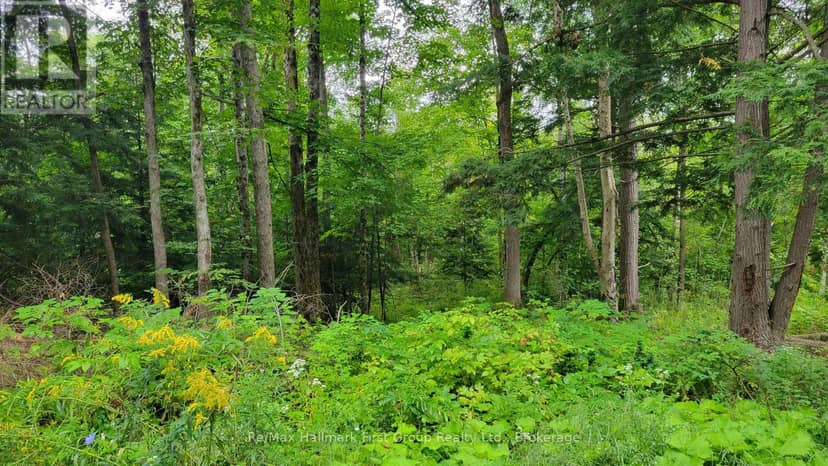 0 Black River Road N, Tweed, photo 3