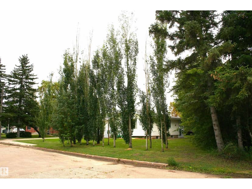 5219 52 ave, Viking, photo 2