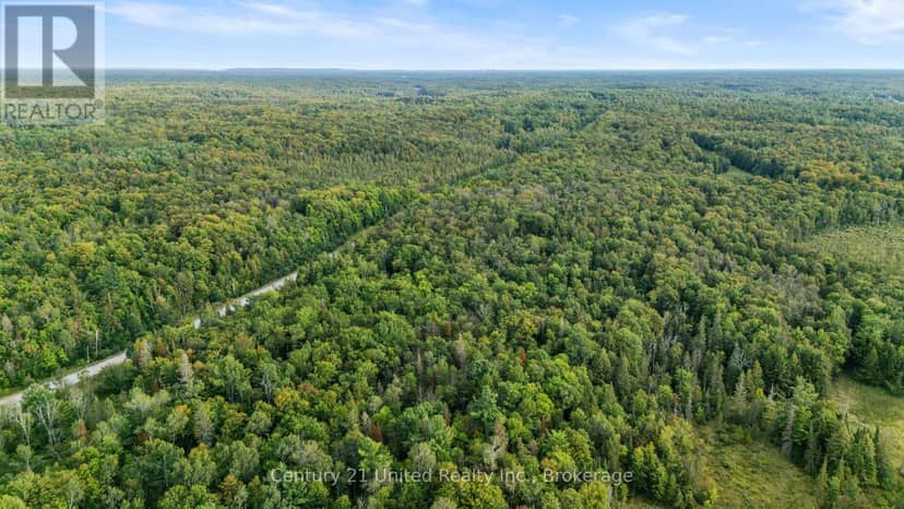 456 County Road 620 — photo 8 of 12