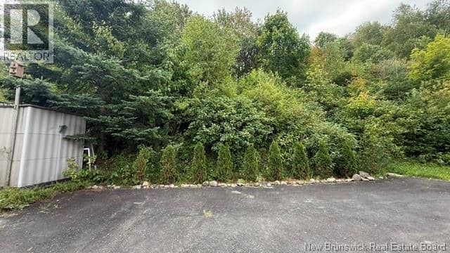 346 Notre Dame Street — photo 26 of 28