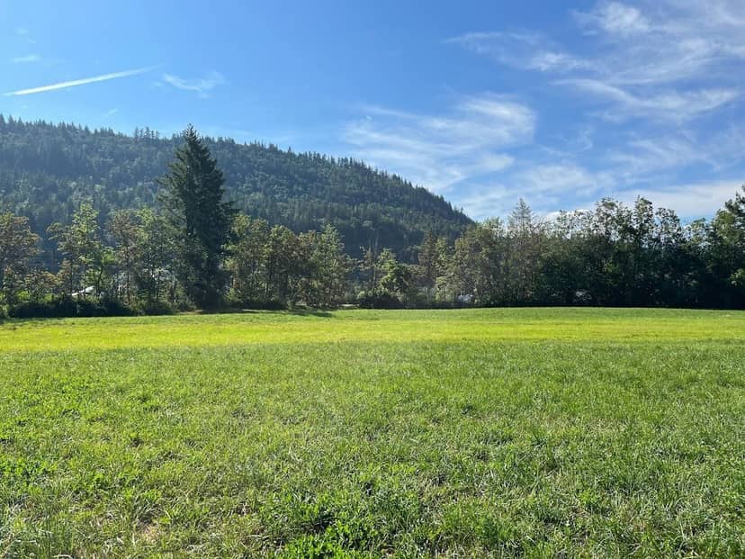 3705 HOT SPRINGS ROAD, Agassiz, Agassiz, photo 4
