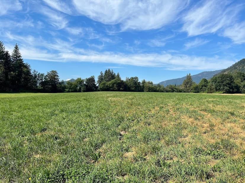 3705 HOT SPRINGS ROAD, Agassiz, Agassiz, photo 5