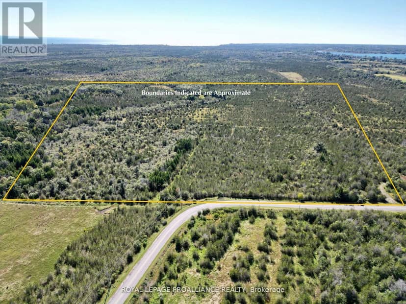 3526 County Road 13 Road, Prince Edward County, photo 2