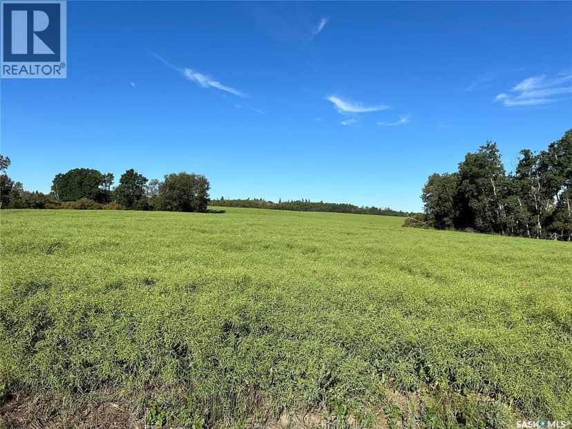 Strelioff Farm Land — photo 4 of 8