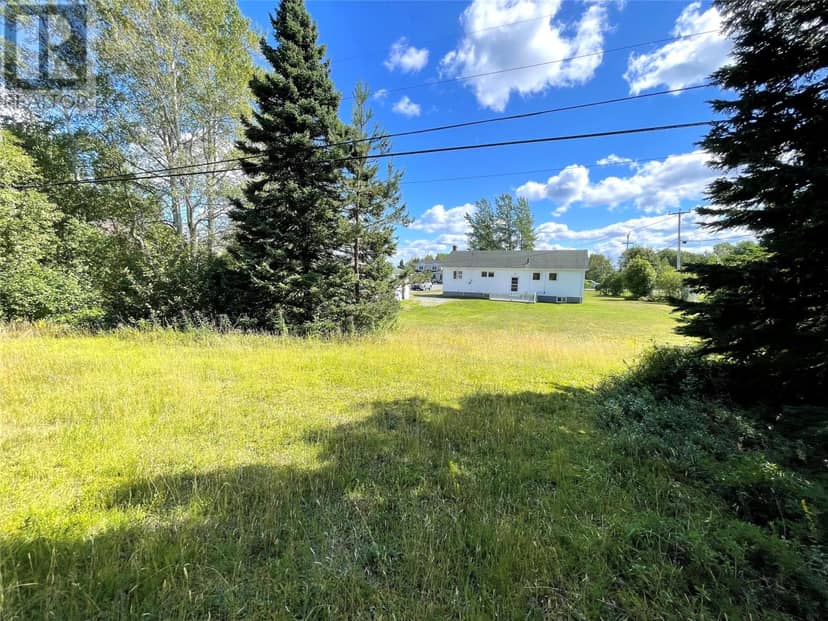 37 Grenfell Heights, Grand Falls-Windsor, photo 6