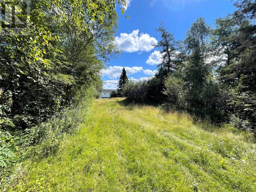 37 Grenfell Heights, Grand Falls-Windsor, photo 7