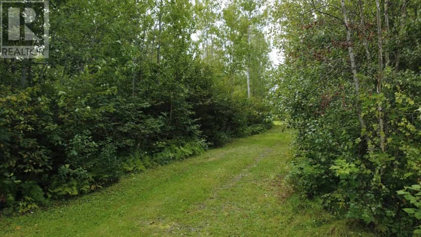 Highway 6 — photo 5 of 40
