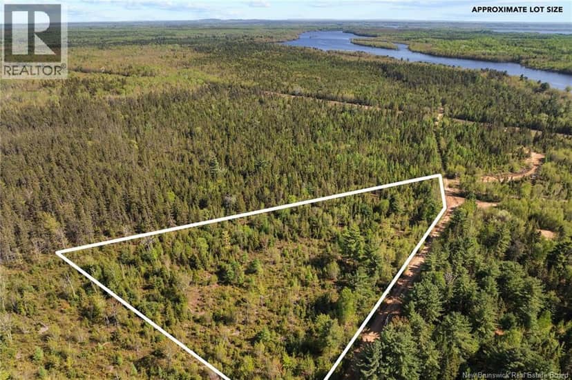 Lot Wegeseum Road, Chipman, photo 5