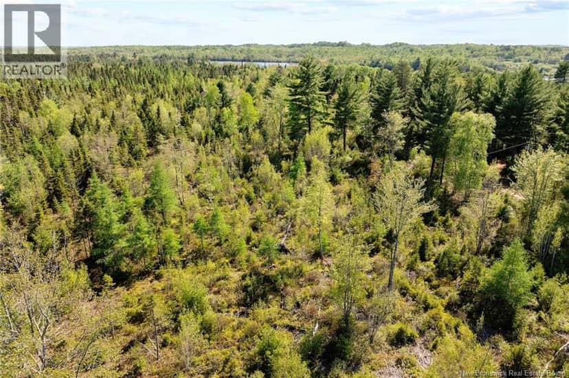 Lot Wegeseum Road, Chipman, photo 7