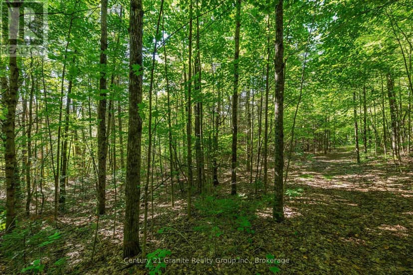 0 Irondale Road — photo 4 of 20