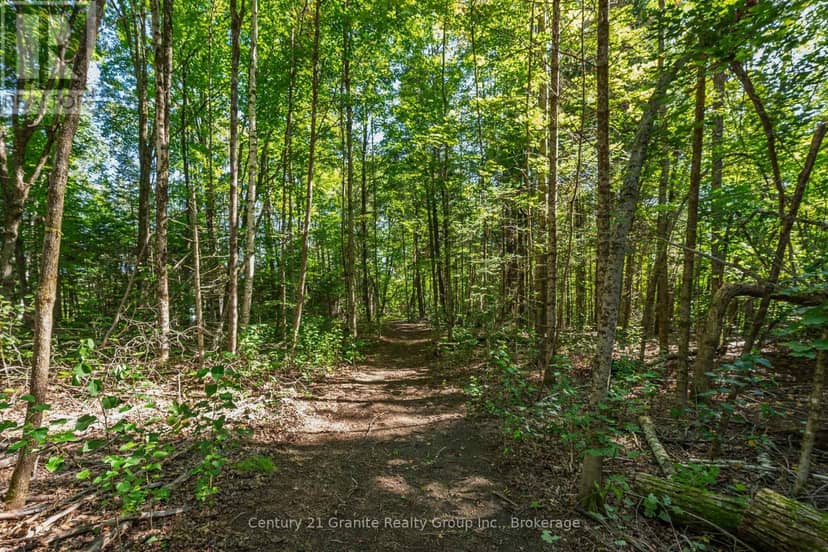 0 Irondale Road — photo 8 of 20