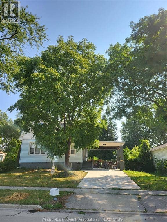 1938 Buckingham — photo 2 of 11