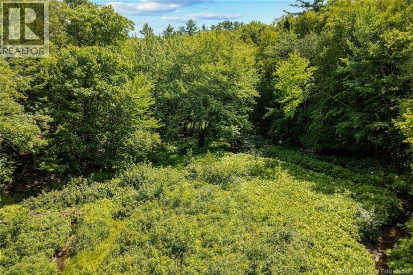 Lot 99-3 Wegesegum Road — photo 11 of 11