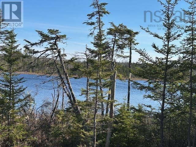 Salmon River Road, Salmon River, photo 3
