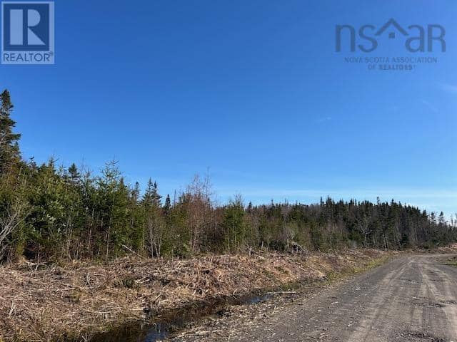 Salmon River Road, Salmon River, photo 7