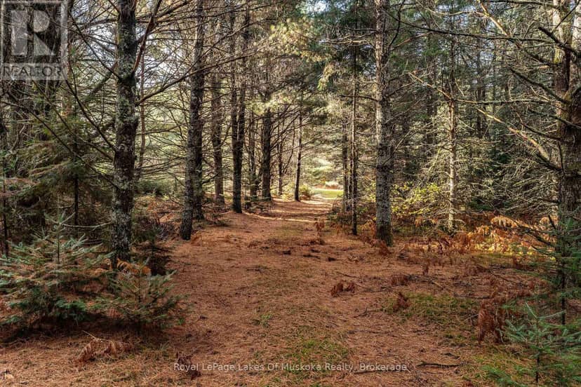 267 & 321 Cardwell Lake Road — photo 12 of 19