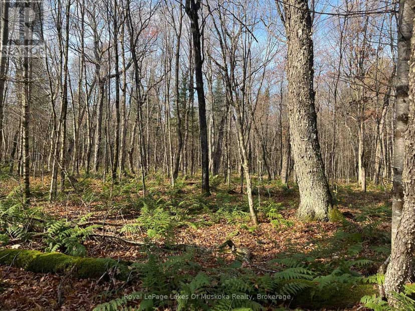 267 & 321 Cardwell Lake Road — photo 18 of 19