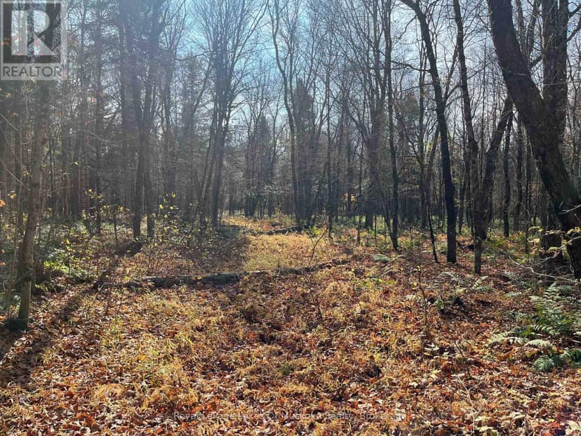 267 & 321 Cardwell Lake Road — photo 19 of 19