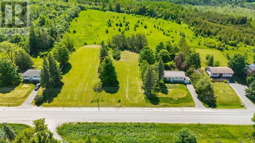0 Frank Hill Road, Kawartha Lakes, photo 4