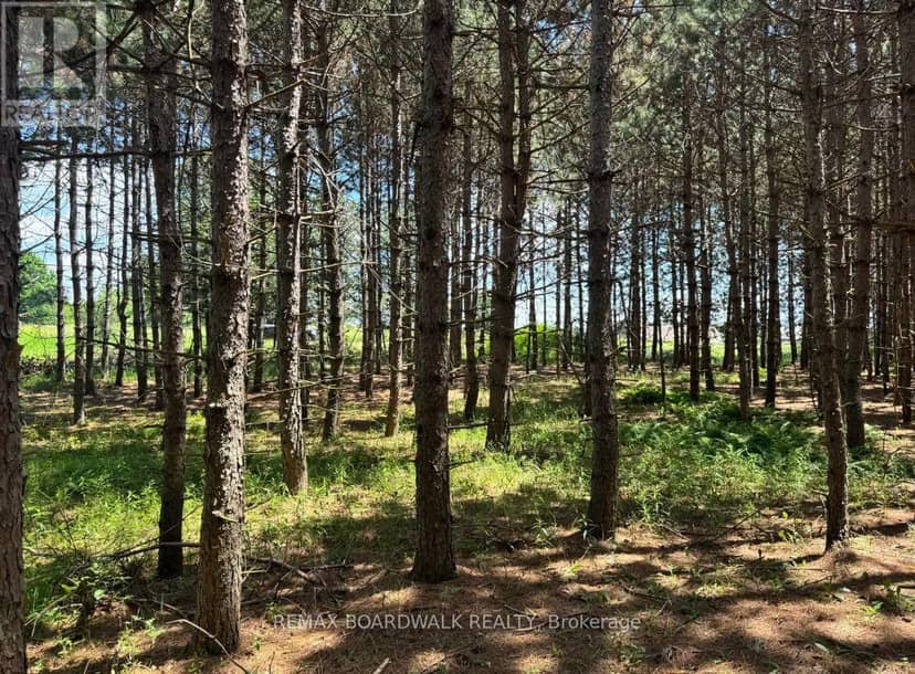 1161 Rosetta Road, Lanark Highlands, photo 7