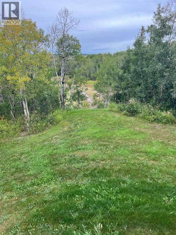#6  720075 Range Road 95 — photo 22 of 23